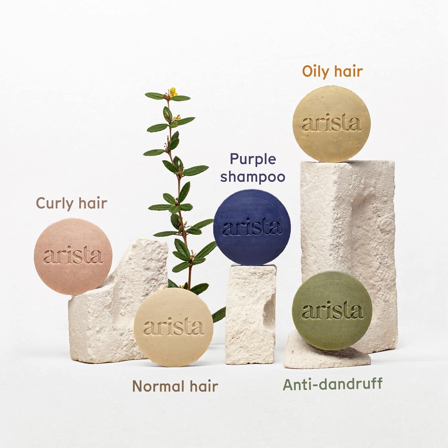 Arista Shampoo Bar with Yellow Clay, Sidr Fruit Powder & Jojoba - For Oily Hair | Sulfate-Free, Vegan & Paraben-Free Travel Shampoo