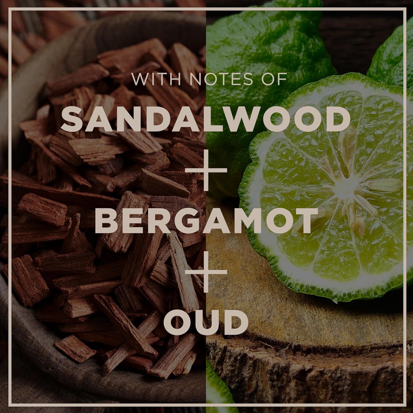 CHI Pour Homme Pomade for Men, Light Hold Hair Product For Medium Shine & Polished Styles, Made With Aloe Vera & Nettle, Fresh, Woody Scent, 6 oz